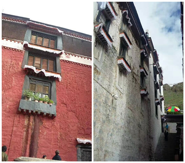 伟德体育